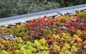 the cost of Bethersden green roof installation
