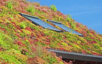 Bethersden living roof systems