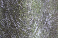 Bethersden fibreglass roof work